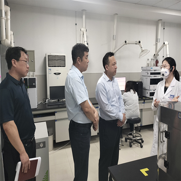 Yan Bingfeng, Deputy Director of Qingdao Development and Reform Commission, went to the group for research.